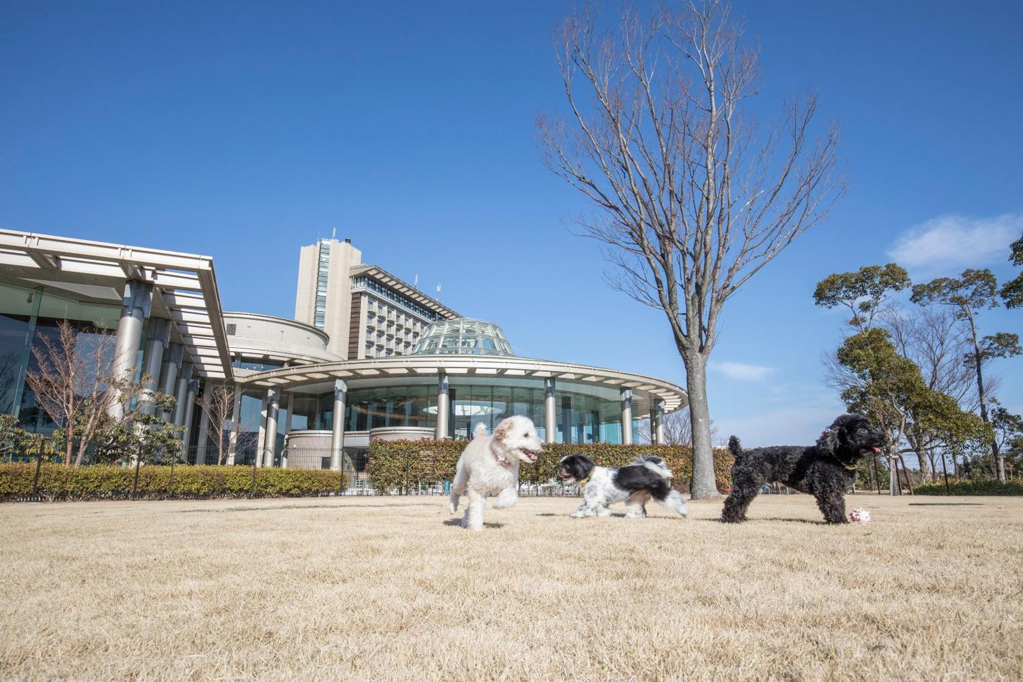 Hilton Odawara Resort & Spa Exterior foto